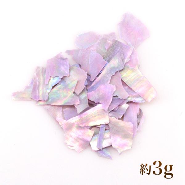 【ゆうパケット対象商品】約３ｇ入り　シェルフレーク9【C50】
