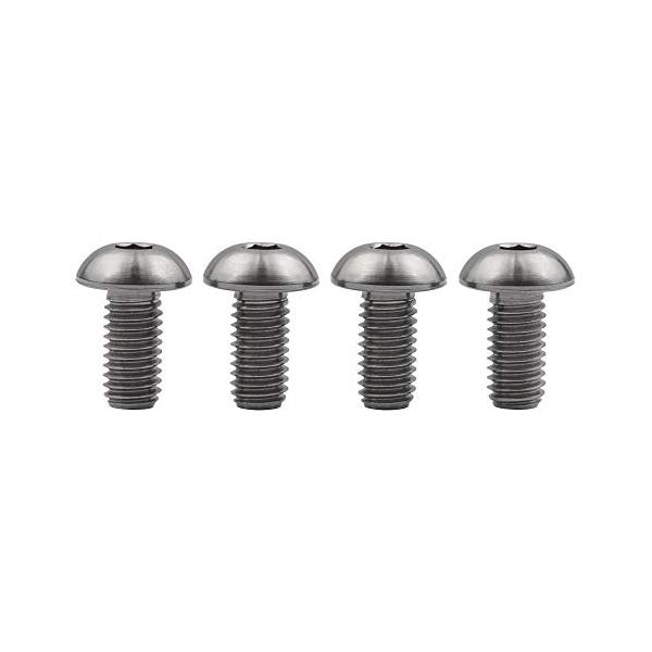 Ruifu自転車ボトルケージチタン合金ボルトISO7380 M5*8mm M5*10mm M5*12mm 4個 (M5x10mm)