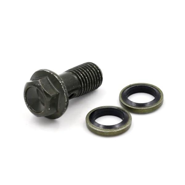 バンジョーボルト M10XP1.25 2個入 耐錆メッキ合金製 ワッシャー4枚付き (ぐんりょく)