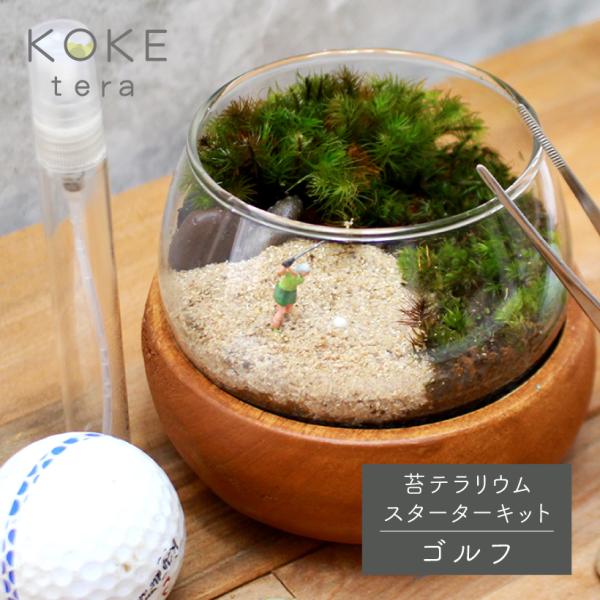 苔テラリウム 手作り キット ゴルフ Koketera 02 グレイスヤフーショップ 通販 Yahoo ショッピング