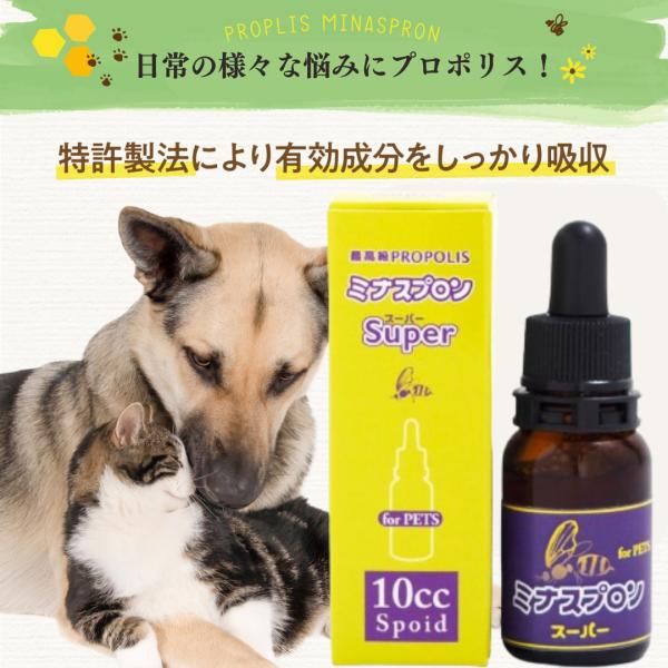 【プロポリスとは】ミツバチが外敵から巣を守るために、草樹木から集めた樹液とミツバチの出す酵素を混ぜ合わせて作る樹脂状の天然物質です。体への負担も無いので、幼齢〜老齢まで幅広くペットに使用できます。【様々なお悩みにプロポリス！】ISO9001...