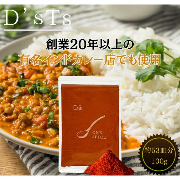 スパイスカレー チリパウダー 100g カレー粉 カレー 無添加 D'sTs