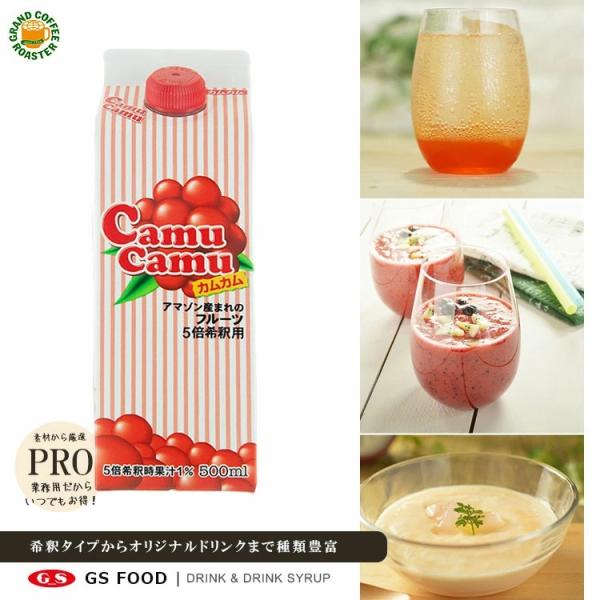 ジーエスフード　GSカムカム 500ml 5倍希釈  12本 セット