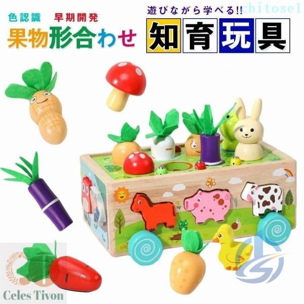型はめ 動物 人気ギフト 果物 モンテッソーリ教具 子ども誕生日おプレゼ ント女の子男の子6ヶゾンチー月1歳2歳3歳4歳 知育おもちゃ パズル 木のおもちゃ 形認識