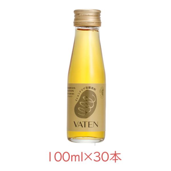 福光屋　バテン　VATEN 30本 バテン 福光屋 ミトコンドリア活躍飲料 VATEN 100ml×30本 エナジー
