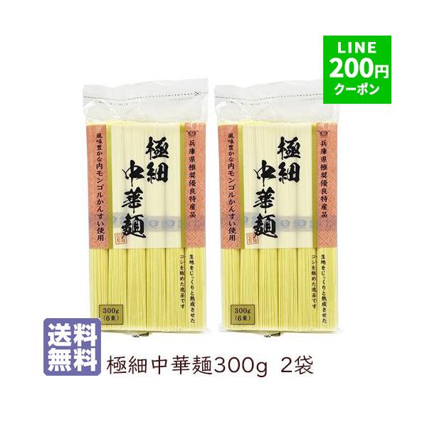 ラーメン ラーメンセット 田靡製麺 極細中華麺 300g 2袋セット ポイント消化 送料無料 インスタントラーメン つけ麺 食品 油そば 袋麺 棒ラーメン 爆買