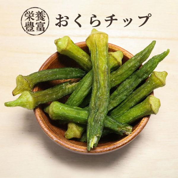 おつまみ 野菜 チップス オクラチップ 45g 1袋 塩味 野菜チップス  オクラチップス オクラ ネバネバ感を楽しめる スナック クノップ 爆買