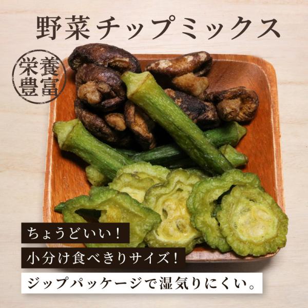 野菜チップス 65g 1袋 野菜チップミックス ゴーヤ オクラ しいたけ 野菜チップ おやつ おつまみ スナック プレゼント ギフト クノップ 爆買