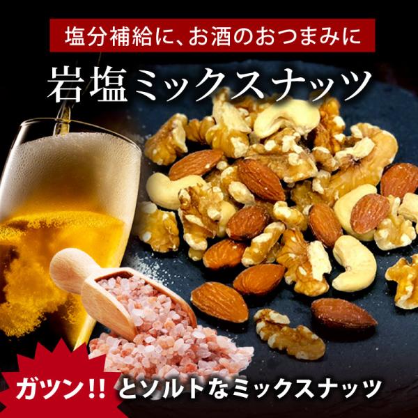 ミックスナッツ 有塩 岩塩ミックスナッツ 49g 1袋 塩味が濃いめ 究極の岩塩 ジュラシックソルト アーモンド カシューナッツ くるみ クノップ 爆買