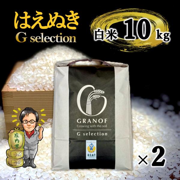 新米 はえぬき 白米10kg(5kg×2) 令和8年産 山形県庄内産 農家直送 送料無料 庄内米 大粒 Ｇセレクション 精米したて コスパ 爆買