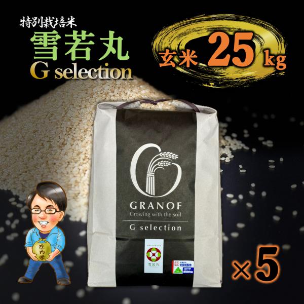 雪若丸 20kg 山形 特別栽培米 令和4年産 雪若丸 20kg