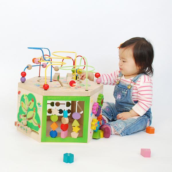 エバーアース社 マルチプレイセット 7in1 セブンインワン 巛木の