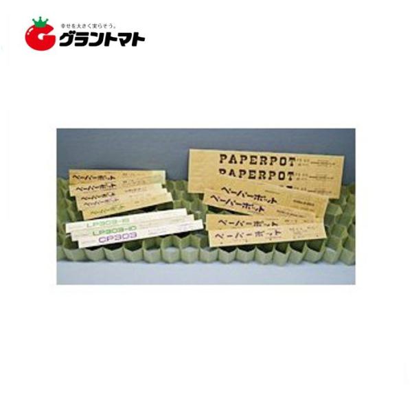 ペーパーポット No.8 紙製育苗用連結ポット 日本甜菜製糖 