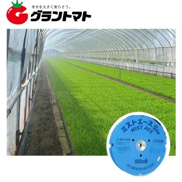 grantomato_2100010933171