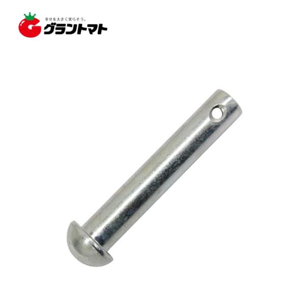 ぴん太 grantomato_2100030013983