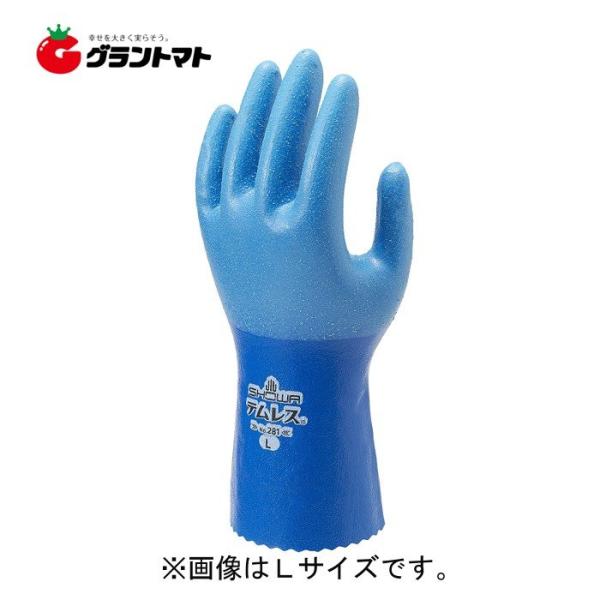 ショーワテムレスブルーＭ 10双