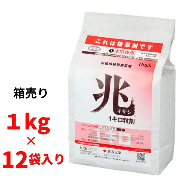 残り2セット　ぐんぐん玉1㎏ セット】みかん 訳あり 1セット1.5kg 熊本産 2セット購入で1セット