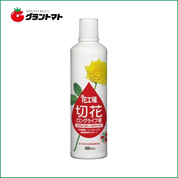 ԍH؉ԃOCtt 480mlZFw|y񏤕iz