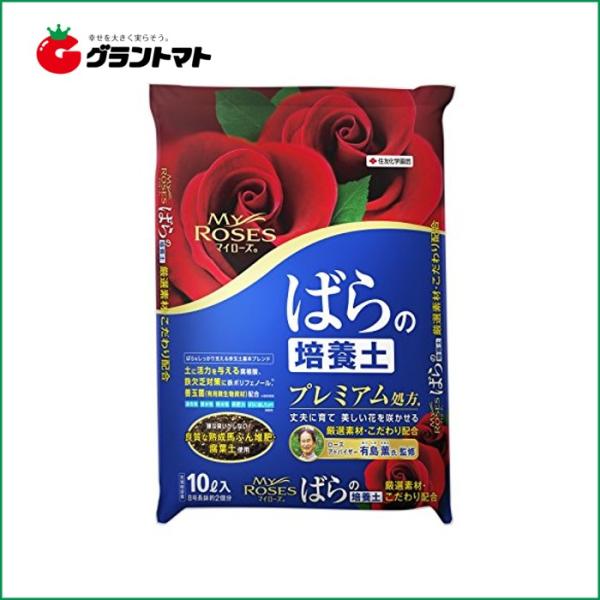 }C[Y΂̔|{y 10LZFw|y񏤕iz