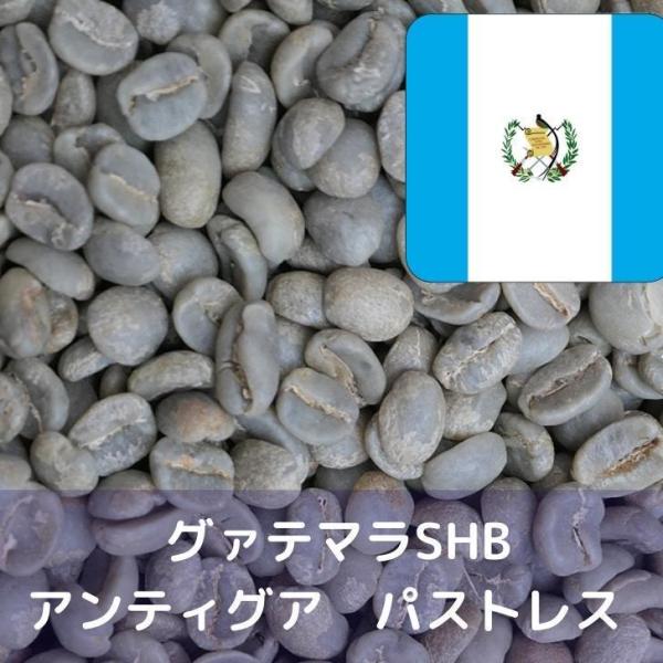 コーヒー生豆 10kg グァテマラSHB アンティグア パストレス Qグレード :7167coffee10kg:YAMATO屋 ヤフー店 通販  