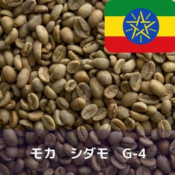 モカ コーヒー生豆 1kgの人気商品・通販・価格比較 - 価格.com モカ コーヒー生豆 1kgの人気商品・通販・価格比較 - 価格.com