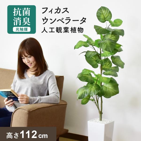 人工植物 観葉植物 光触媒 造花 植物 フェイクグリーン 鉢付き リビング 消臭 殺菌 防臭 フィカス ウンベラータ 1cm 北欧 プレゼント Dr Ficus Ub Doris 通販 Yahoo ショッピング