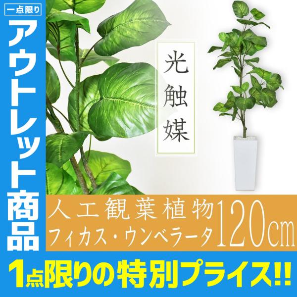 アウトレット 人工植物 観葉植物 光触媒 造花 鉢付き リビング 消臭 殺菌 防臭 フィカス ウンベラータ 1cm 北欧 訳あり わけあり 特別プライス Outlet Dr Outlet 5600 Doris 通販 Yahoo ショッピング