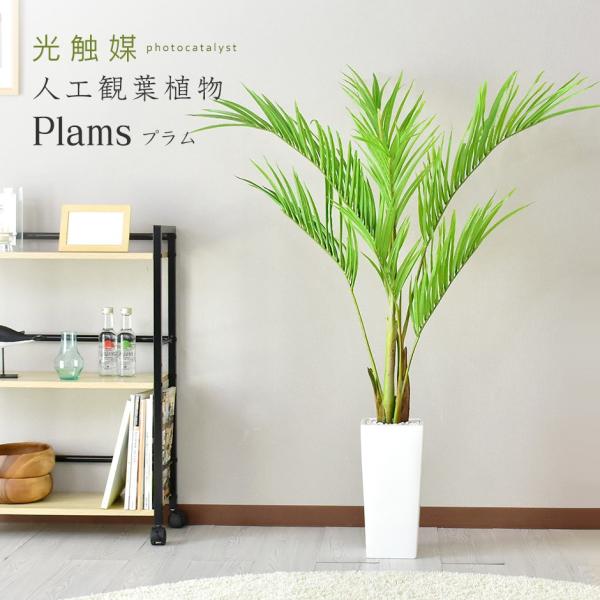 人工植物 観葉植物 光触媒 造花 植物 フェイクグリーン 鉢付き リビング 消臭 殺菌 防臭 プラム 北欧 ドリス