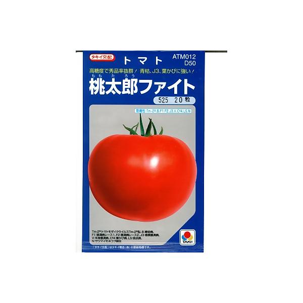 ^LCzEEEYt@CgEEE^LC̓Yg}głB̂ƂȂ炨CO[f|@