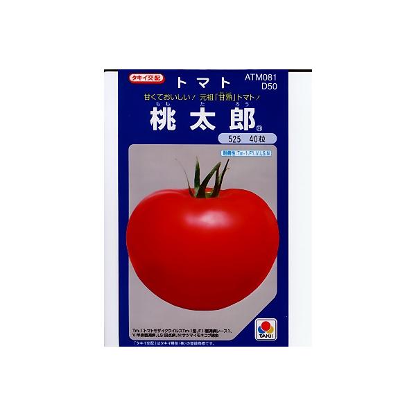 g}g@^LCzEEEYEEE^LC̑ʃg}głB@̂ƂȂ炨CO[f|