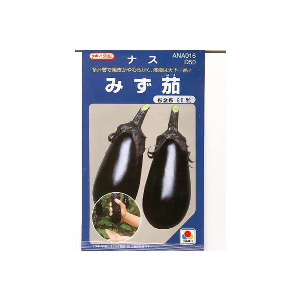 ナス タキイ交配・・・みず茄・・・＜タキイの水ナスです。種の