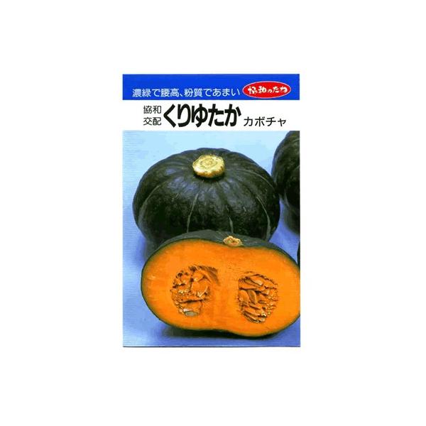 J{`q@䂽@B݂ǂ̃J{`łB