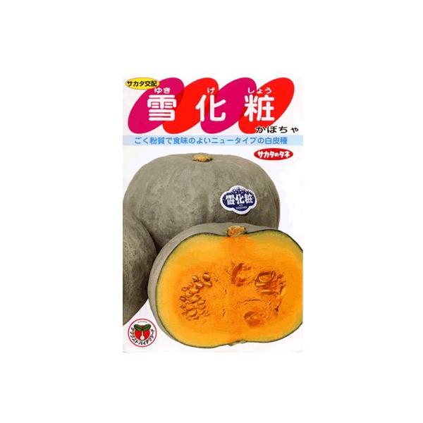 J{`@TJ^zEEEቻρEEETJ^̃J{`łB@̂ƂȂ炨CO[f|