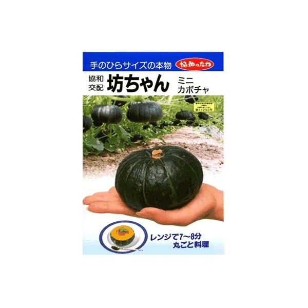 ~jZ@V@o^i@݂ǋã~jJ{`i