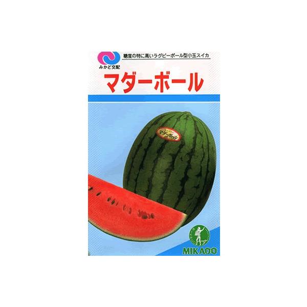 XCJ@݂ǌzEEE}_[{[EEE݂ǋȁʃXCJłB@̂ƂȂ炨CO[f|