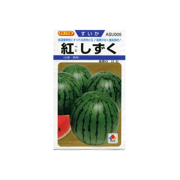 紅しずく 2枚目