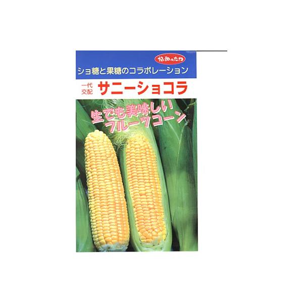 gERV@zEEETj[VREEEqB݂ǂ̃gERVłB@̂ƂȂ炨CO[f|r