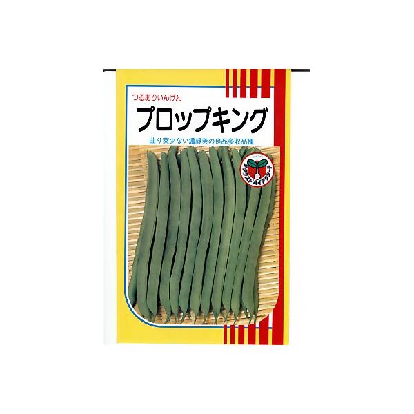 CQ@TJ^@vbvLO@TJ^̃^l̂邠CQiłB