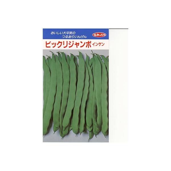 CQ@݂ǋaEEErbNW{EEE݂ǋâ邠CQłB@̂ƂȂ炨CO[f|