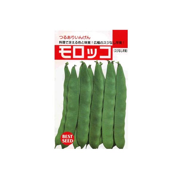 CQ@^LCEEEbREEE^LĈ邠CQłB@̂ƂȂ炨CO[f|