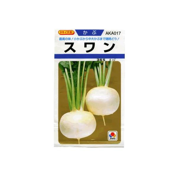 Ju@^LCz@X@^LCc̃JułB@