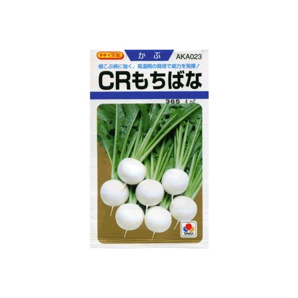 Ju@^LCz@bq΂ȁ@^LCc̃JułB