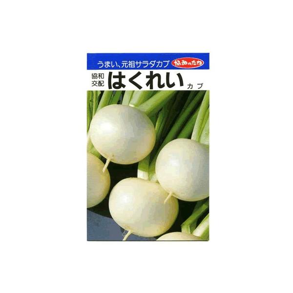 Ju@az@͂ꂢ@ãJułB