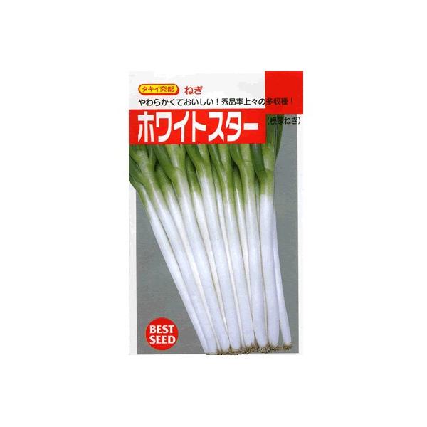 lM@^LCzEEEzCgX^[EEE^LC̃lMłB@̂ƂȂ炨CO[f|