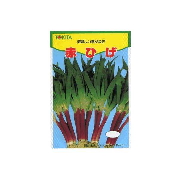 lM@gL^@ԂЂ@gL^c̐ԃlMłB