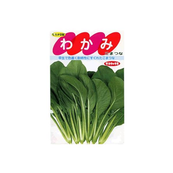 R}ci@TJ^z@킩݁@TJ^̃^l̏؂łB