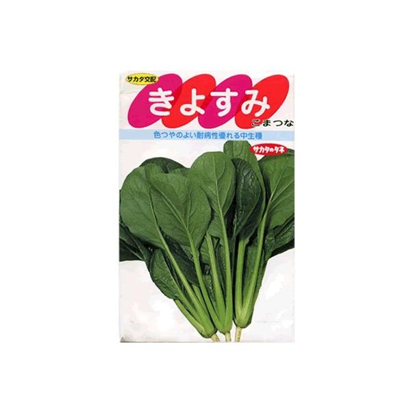 R}ci@TJ^z@悷݁@TJ^̃^l̏؂łB