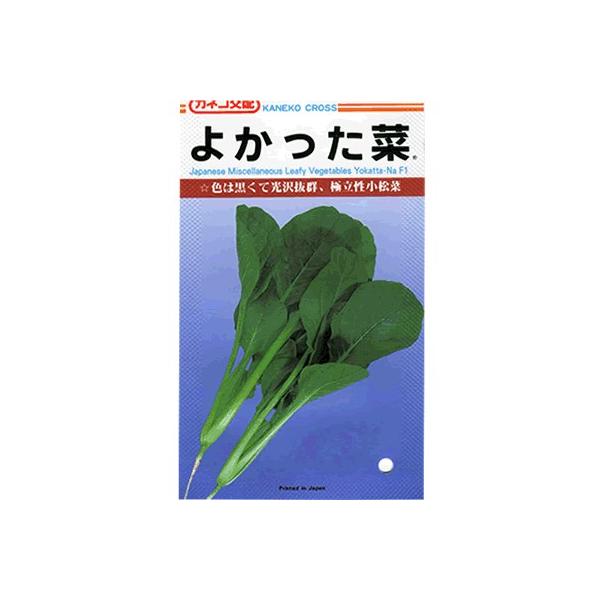 R}ci@JlRz@悩؁@JlȐ؂łB