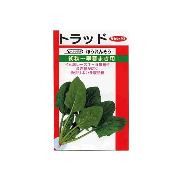 ق񑐁@TJ^zEEEgbhEEETJ^̂ق񑐂łB@̂ƂȂ炨CO[f|