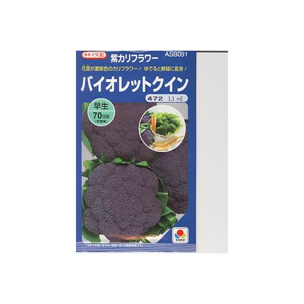 カリフラワーの種 タキイ交配・・・バイオレットクイン・・・<タキイのカリフラワーです。種の事ならお任せグリーンデポ> :a0373:GREEN DEPOヤフー店 - 通販 - Yahoo!ショッピング カリフラワーの種 タキイ交配・・・バイオレットクイン・・・<タキイのカリフラワーです。種の事ならお任せグリーンデポ> :a0373:GREEN DEPOヤフー店 - 通販 - Yahoo!ショッピング